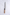 Nigara Hamono SG2 Migaki Walnut - 210mm Gyuto