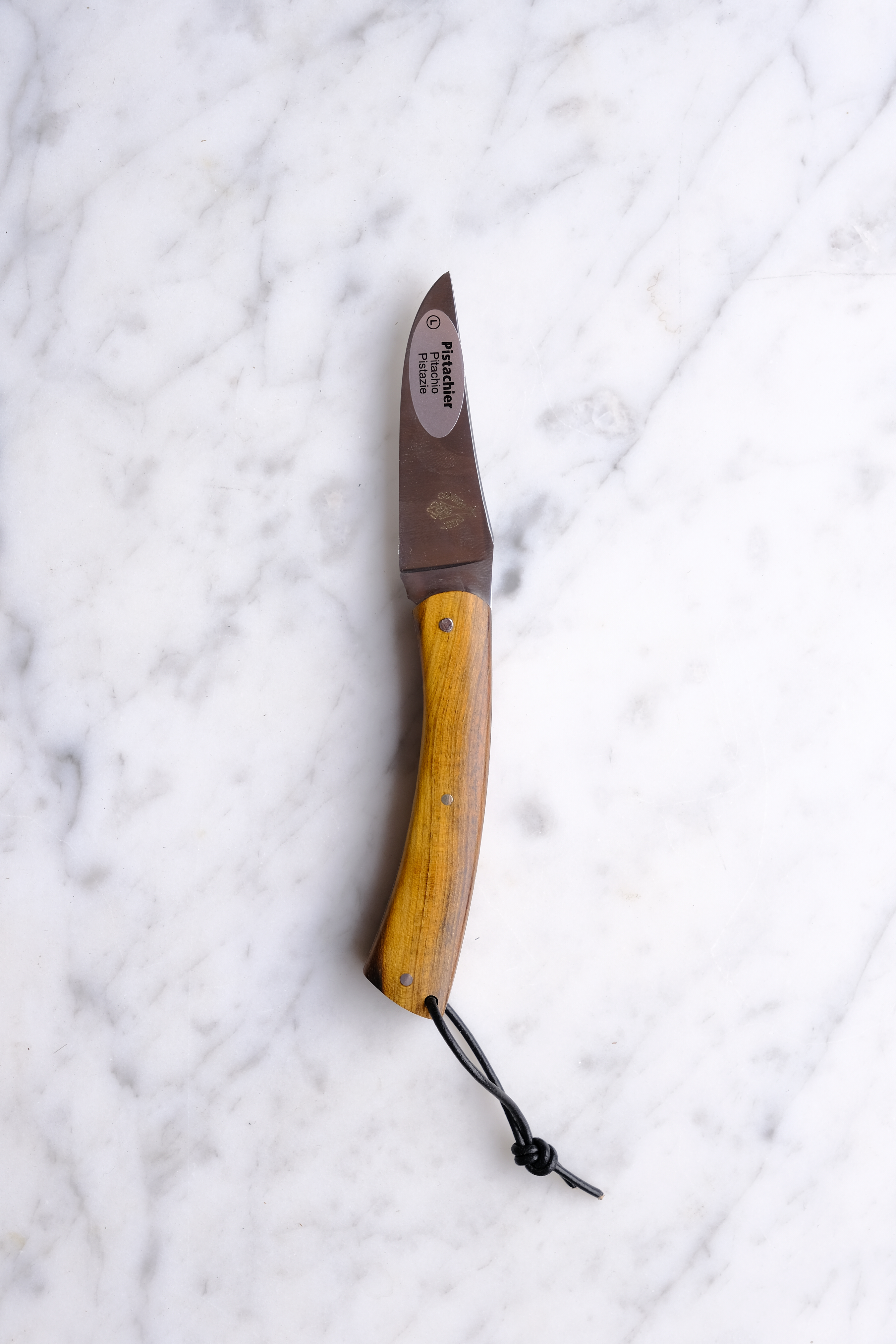 Camambert Foldekniv 8cm børstet m. snor - Pistacie